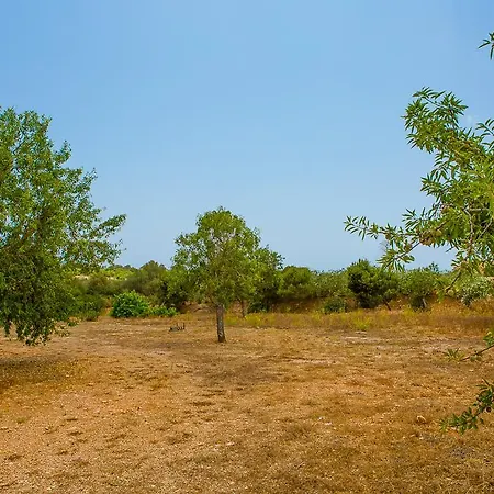 Villa Ses Aus